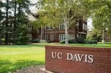 上海诺科学子收获21枚加州大学戴维斯分校录取Offer！