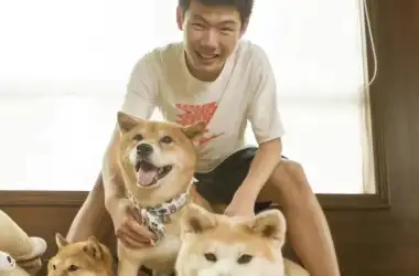 毕业生故事 丨手握G5 offer的工科生：“摆烂”也需要智慧