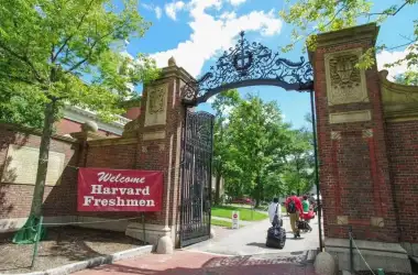 哈佛公布2023fall新生数据！311人拒绝哈佛、1/3新生选社科......