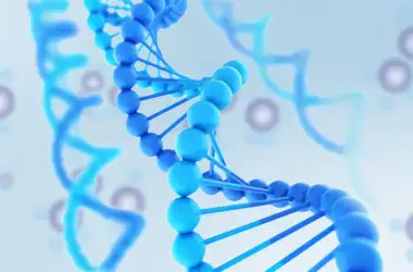 A-Level生物考A星容易吗？